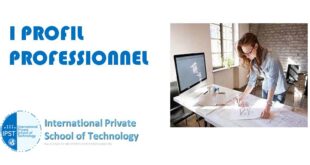 I PROFIL PROFESSIONNEL