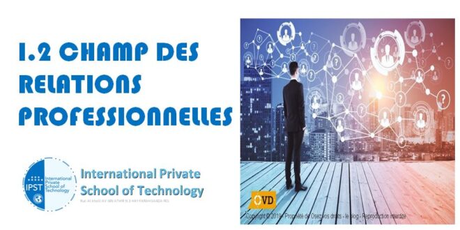 PROFESSIONNELLES