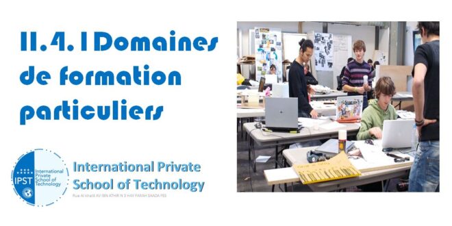 II.4.1Domaines de formation particuliers