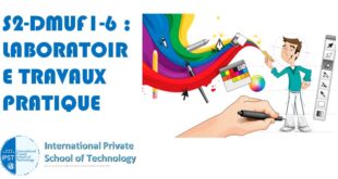 S2-DMUF1-6 : LABORATOIRE TRAVAUX PRATIQUE